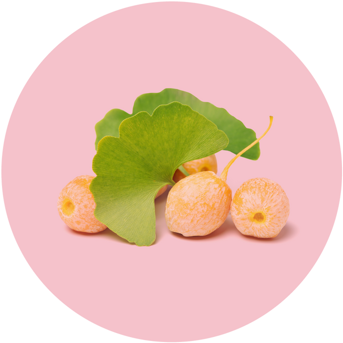 Ginkgo Biloba-Extrakt