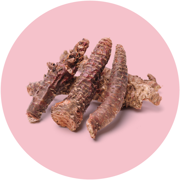 Rosenwurz Extrakt (Rhodiola Rosea)